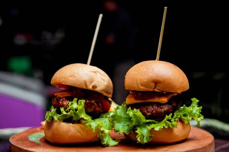 Appetizing hamburger with cheese and vegetables. Barbecue. restaurantの写真素材