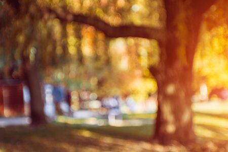 Autumnal park. Blurred background. Bright colorful bokeh. Abstractionの写真素材