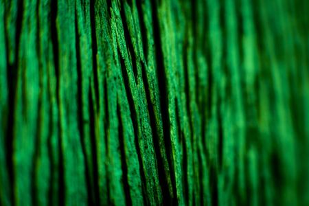 Abstract colored background close up. Macro flowers and petalsの写真素材