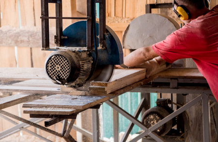 Modern sawmill. A carpenter works on woodworking the machine tool.