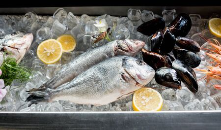Frozen see food on ice. Shrimps, fish and seashells.の写真素材