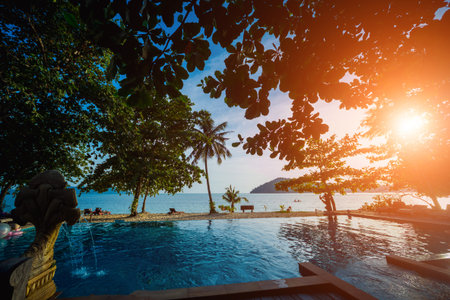 Swimming pool at exotic tropical resort. Exotic garden.