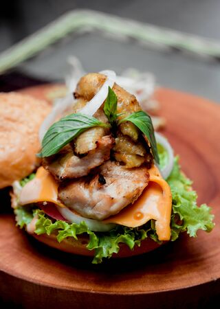 Appetizing hamburger with cheese and vegetables. Barbecue. restaurantの写真素材