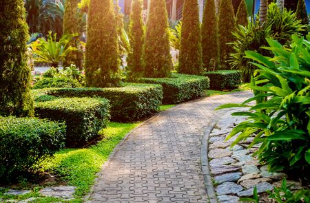 Luxury landscape design of the tropical garden. Beautiful view of landscaped tropical garden.の写真素材