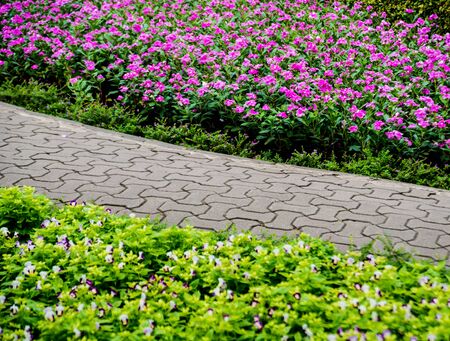 Luxury landscape design of the tropical garden. Beautiful view of landscaped tropical garden.の写真素材