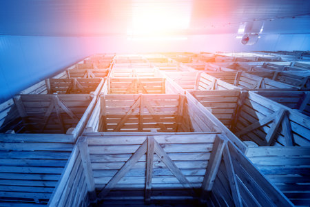Empty industrial freezer warehouse for vegetable storage. Background