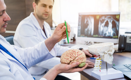 Two doctors having medical council in hospital.