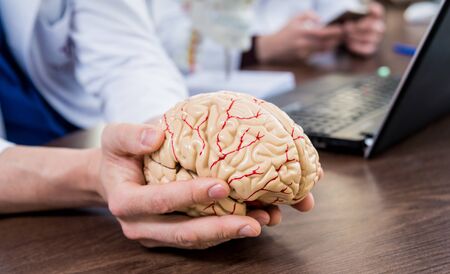 Doctor holding plastic model of human brain. Backgroundの写真素材