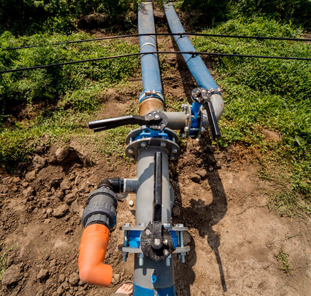 Drip irrigation system. Water saving drip irrigation system being used in a young carrot field....