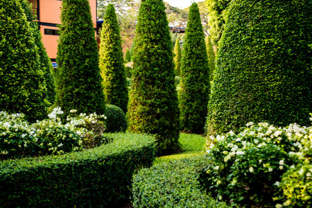 Luxury landscape design of the tropical garden. Beautiful view of landscaped tropical garden.
