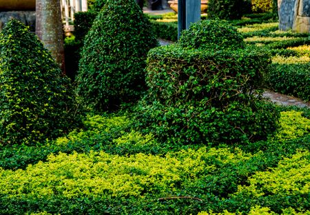 Luxury landscape design of the tropical garden. Beautiful view of landscaped tropical garden.の写真素材
