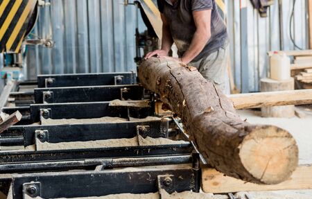 Modern sawmill. Industry sawing boards from logs. Backgroundの写真素材