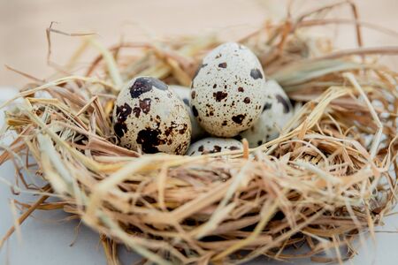 Fresh quail eggs group. Beautiful background. Closeupの写真素材
