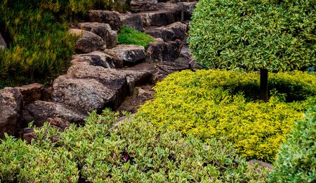 Luxury landscape design of the tropical garden. Beautiful view of landscaped tropical garden.の写真素材