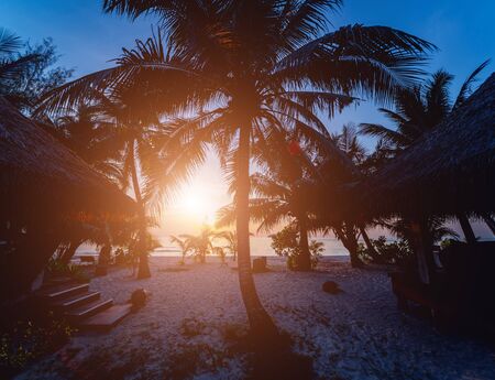Beautiful sunset at the beach in the tropics. Sky and ocean. Backgroundの写真素材