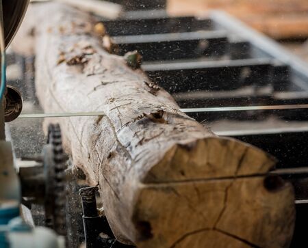 Modern sawmill. Industry sawing boards from logs. Backgroundの写真素材