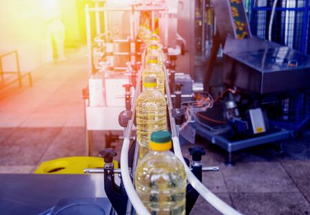 Bottling line of sunflower oil in bottles. Vegetable oil production plant. High technology. Industrial backgroundの写真素材