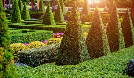 Luxury landscape design of the tropical garden. Beautiful view of landscaped tropical garden.の写真素材