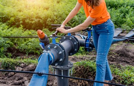 Drip irrigation system. Water saving drip irrigation systemの写真素材