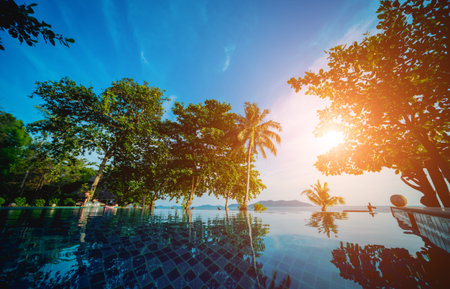 Swimming pool at exotic tropical resort. Exotic garden.