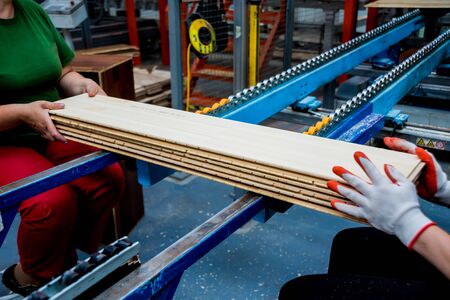 Carpenter with fibreboards at furniture factory workshop. Woodworking industry conceptの写真素材