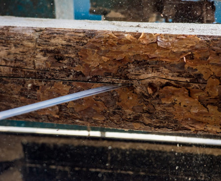 Modern sawmill. Industry sawing boards from logs. Background