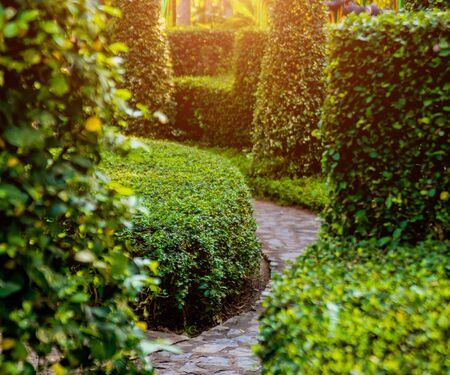 Luxury landscape design of the tropical garden.の写真素材