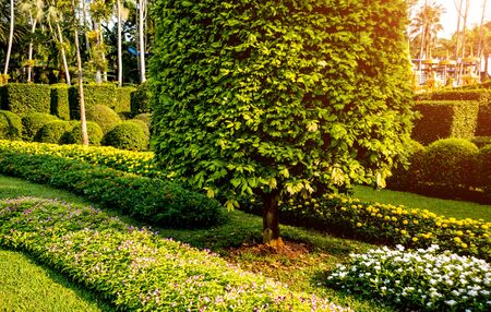 Luxury landscape design of the tropical garden.の写真素材