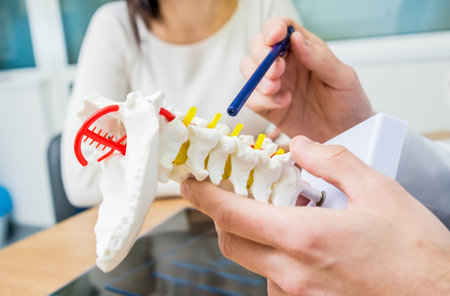 Orthopedist showing spine model to patient in hospital