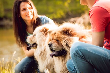 Young couple with the dogs in the parkの写真素材