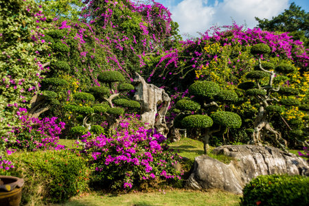 Luxury landscape design of the tropical garden. Beautiful view of landscaped tropical garden.