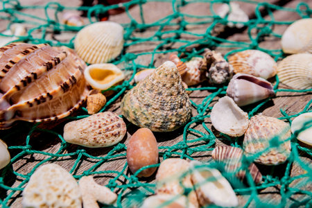 Sea shells with fishing net and hat. Background