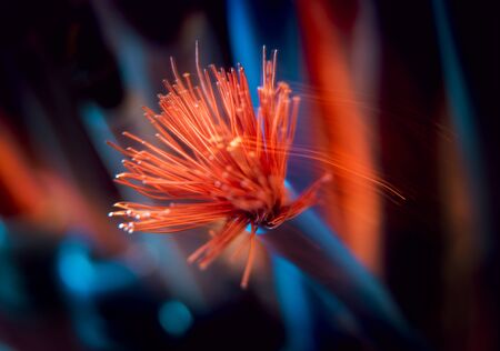 Electrical equipment. Electricity cable. Background and textureの写真素材