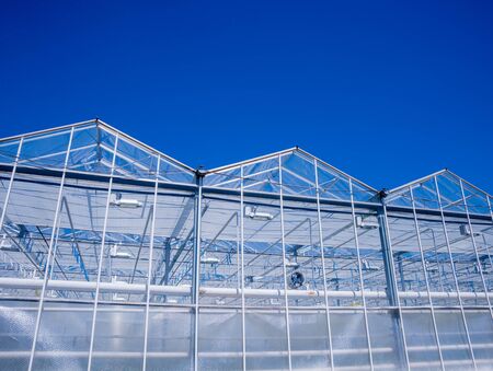 Modern glass greenhouses against the blue sky. Beautiful backgroundの写真素材