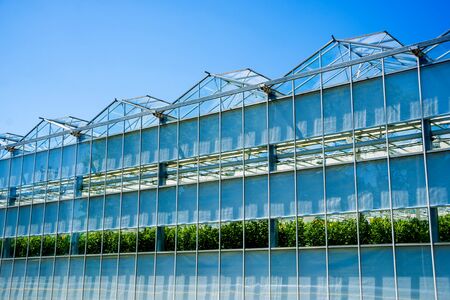 Modern glass greenhouses against the blue sky. Beautiful backgroundの写真素材