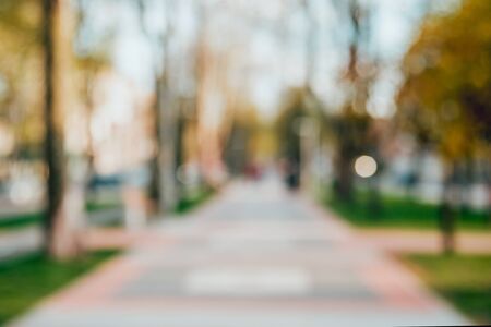Green city park. Yello alley bokeh backgroundの写真素材