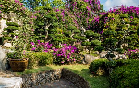 Luxury landscape design of the tropical garden. Beautiful view of landscaped tropical garden.の写真素材