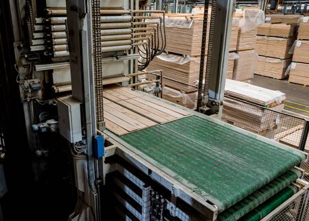 Production line of the wooden floor factory. CNC automatic woodworking machine.の写真素材