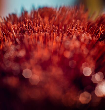 Electrical equipment. Electricity cable. Background and textureの写真素材