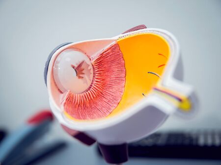 Ophthalmic equipment. Medical laboratory. Modern medical technologyの写真素材