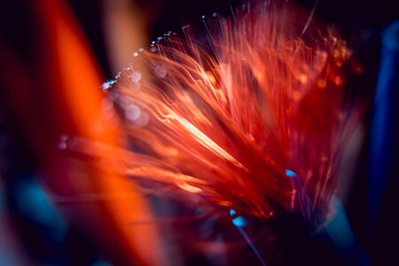 Electrical equipment. Electricity cable. Background and texture.の写真素材