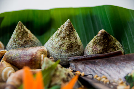 Shells on the dish with the palm leaf. Restaurant