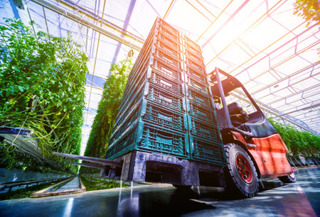 Electric forklift in greenhouse. Beautiful agricultural background