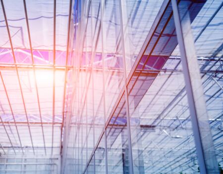 The frame of a modern greenhouse against the skyの写真素材