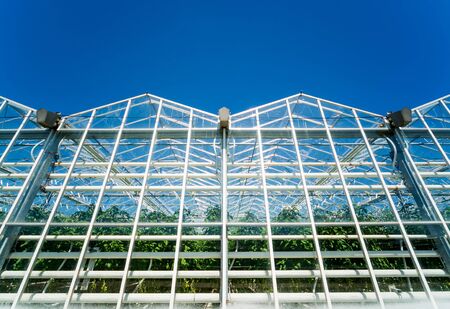 Modern glass greenhouses against the blue sky. Beautiful backgroundの写真素材