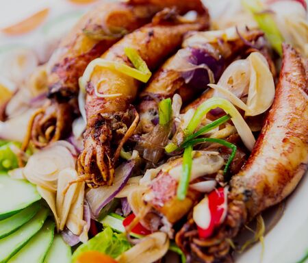 Grilled squid with vegetables on a white plate.の写真素材