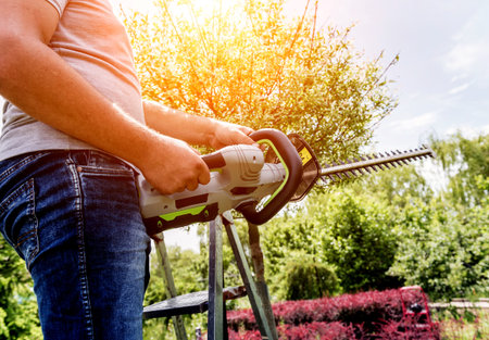 A gardener trimming trees with hedge trimmer. Landscape design. Gardening