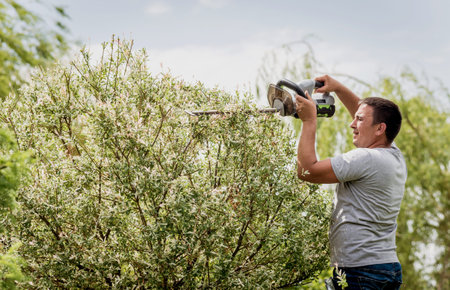 A gardener trimming trees with hedge trimmer
