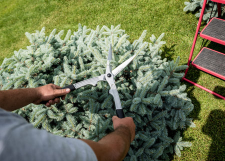 Professional gardener pruning a tree with garden scissors