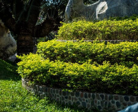 Luxury landscape design of the tropical garden.の写真素材